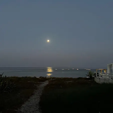 Daniel S Oda ve Kahvaltı