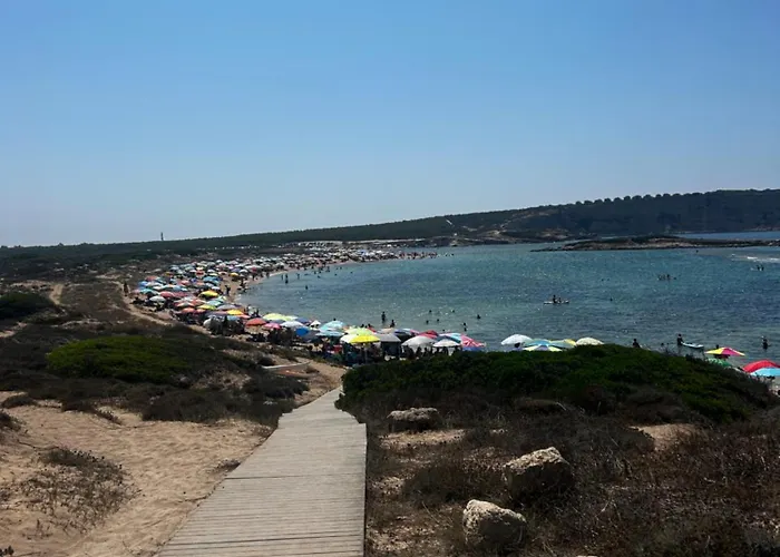 Daniel S Oda ve Kahvaltı Riola Sardo