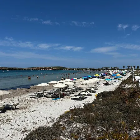 Daniel S Riola Sardo