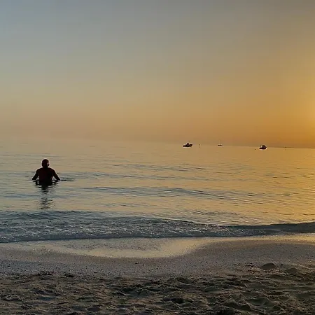 Daniel S Panzió Riola Sardo